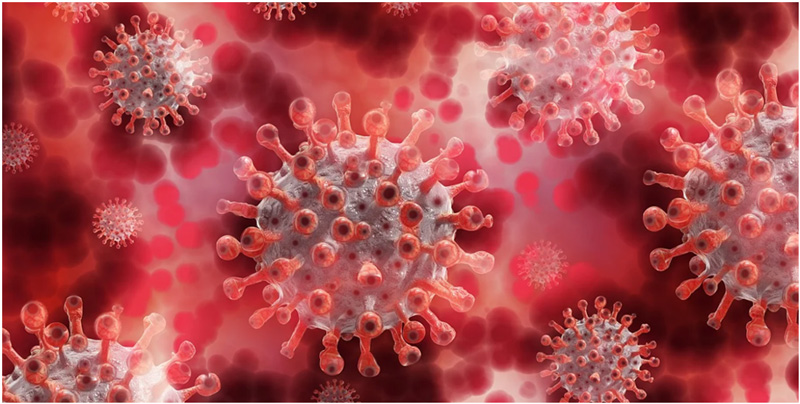 coronavirus