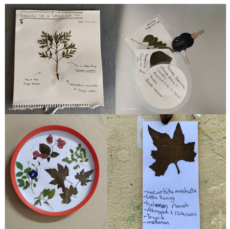 herbarium