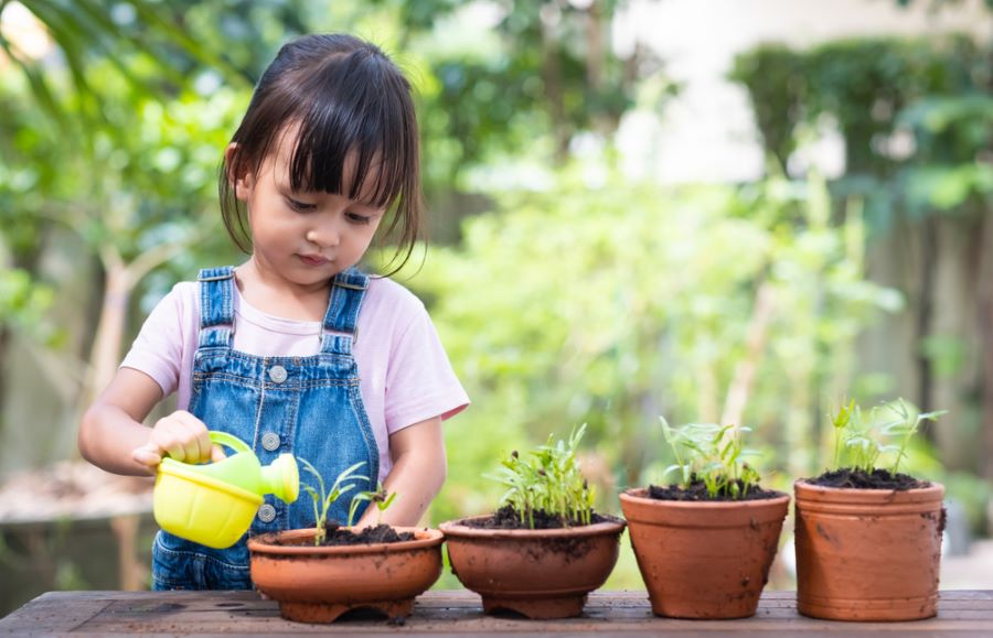 stem education