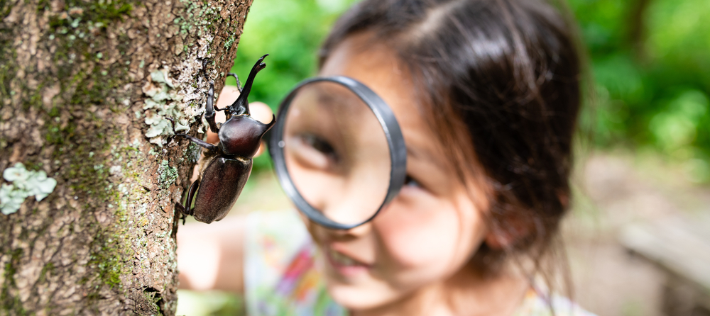 stem education