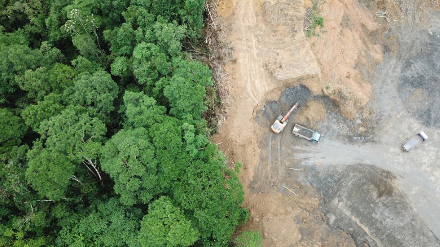 human-animal conflict deforestation