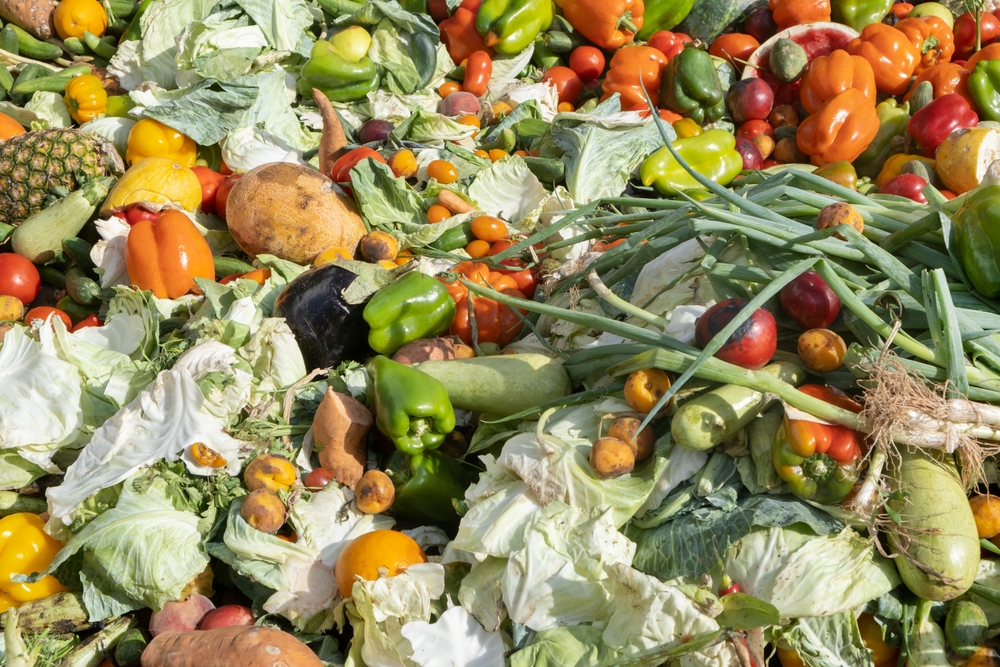 sustainable farming