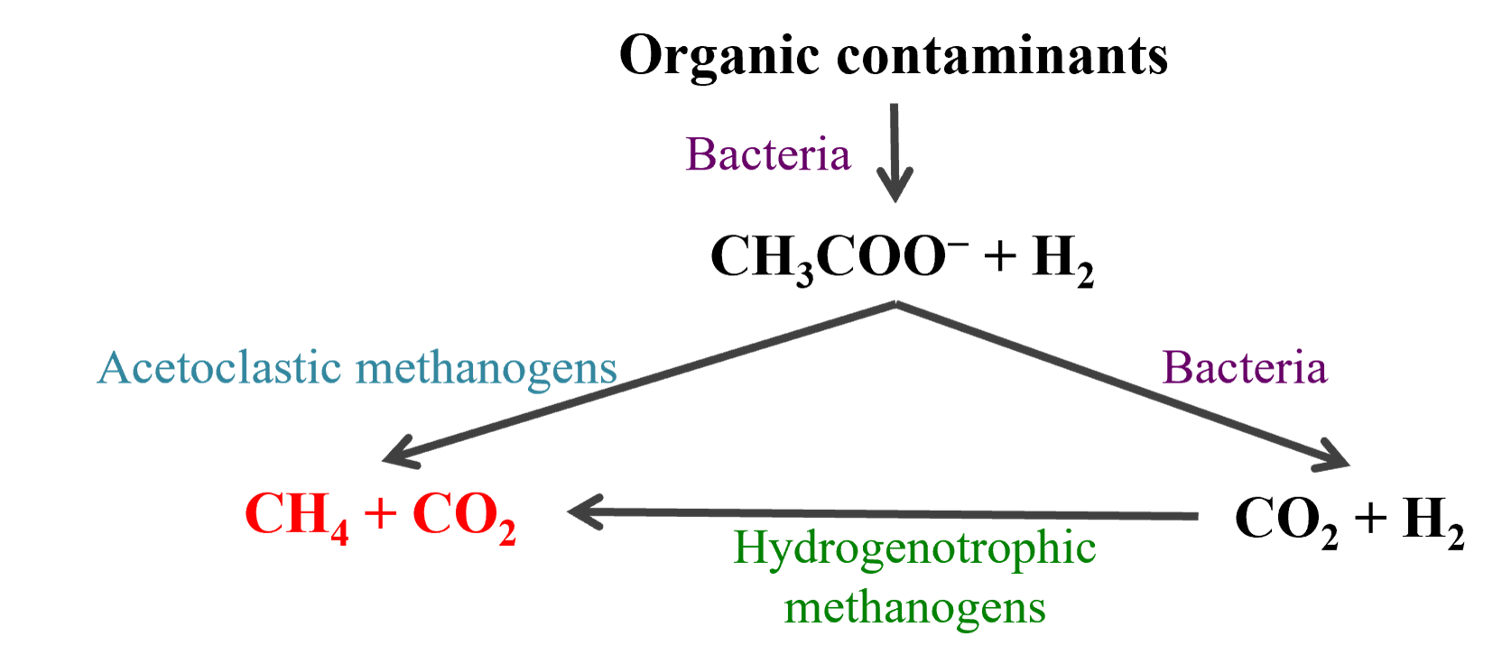 microbes anaerobic process