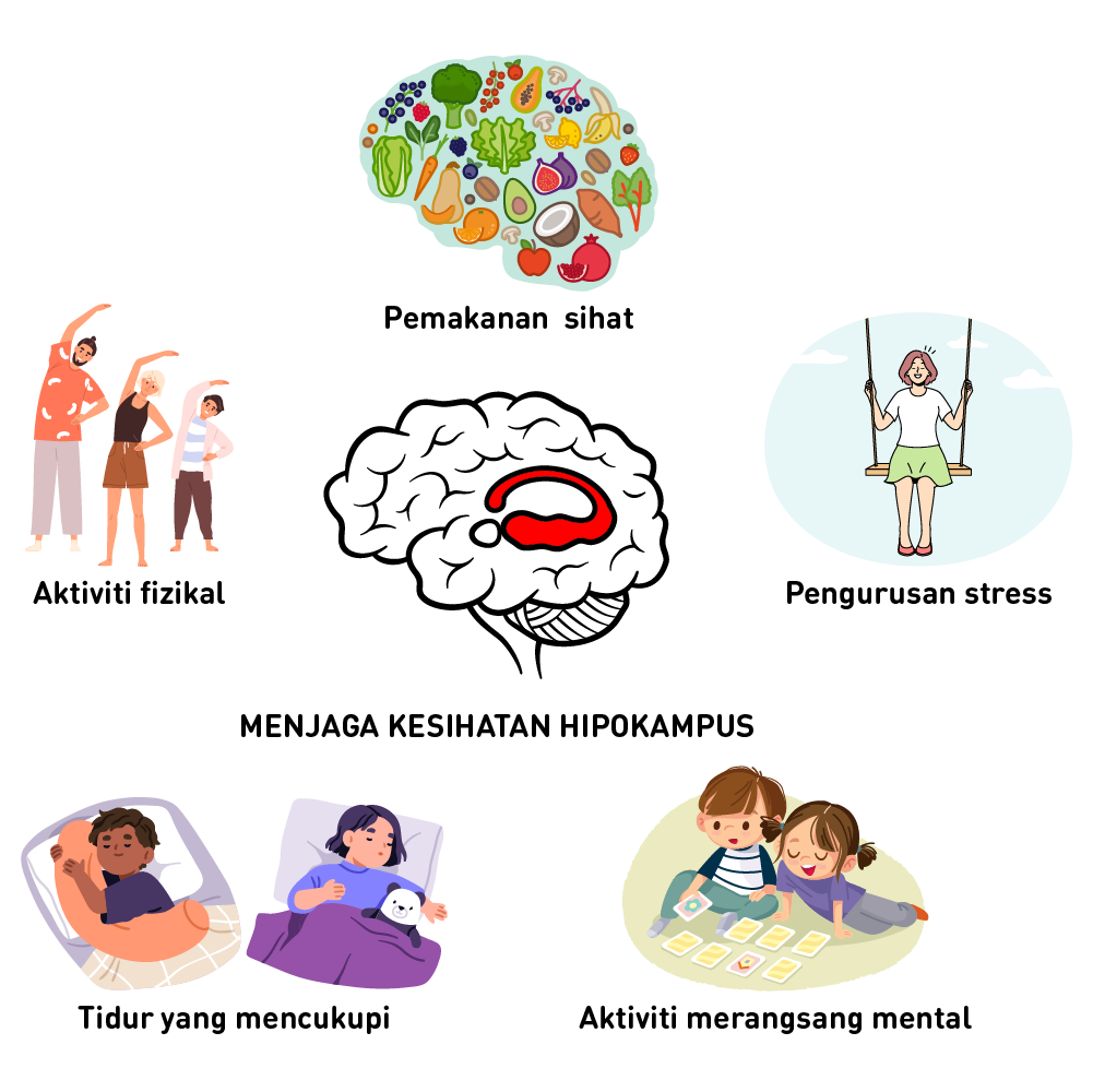hipokampus, otak, menjaga kesihatan