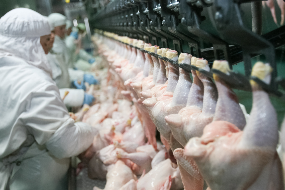 food industry, technology