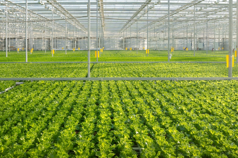 food industry, technology, smart irrigation